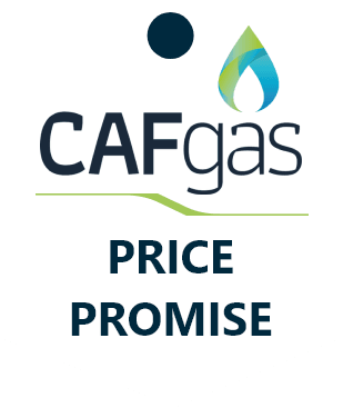 Promise-badge